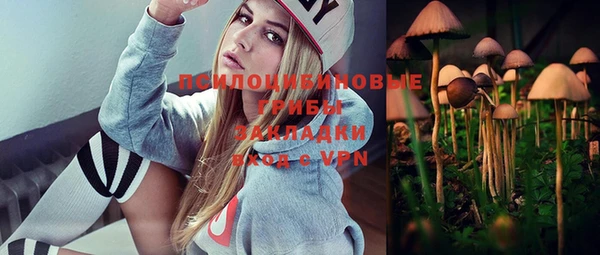 мескалин Лабытнанги
