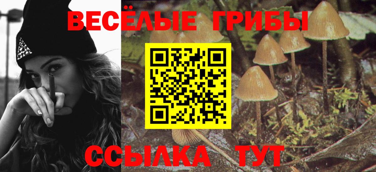 Псилоцибиновые грибы Cubensis Жуковский